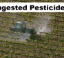 01:34 Short Video: Ingested Pesticide Levels in Urine Before and After an Organic Diet