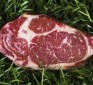 CLA in grass-fed beef is a powerful anti-carcinogen that also promotes fat loss