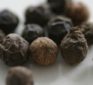 Black pepper (Piperine) increases absorption of nutrients; antioxidant properties