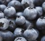 Scientific proof that blueberries support weight loss