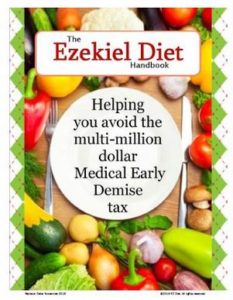 ezd-handbook
