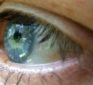 Saffron can help reverse age-related vision loss