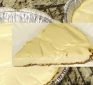 Skinny Cheesecake & Graham Cracker Crust Only 77 Calories Per Slice