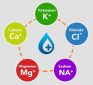 Electrolyte Imbalance: Conditions & Concerns – Too Much or Too Little Potassium