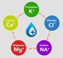 Electrolyte Imbalance: Conditions & Concerns – Too Much or Too Little Potassium