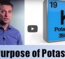 The Purpose of Potassium and Weight Loss – Dr. Eric Berg