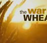 The War on Wheat – the fifth estate