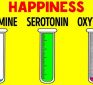 How Hormones Influence You and Your Mind