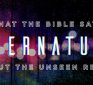Supernatural Seminar | Dr. Michael Heiser | Session 4 |  The Ministry of Jesus