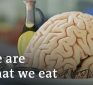 Better brain health | DW Documentary