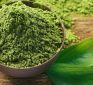 Green tea, zinc proving BETTER than hydroxychloroquine at fighting coronavirus?