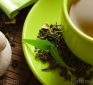 Green tea compounds block key enzyme that allows coronavirus to replicate – study