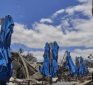 From the Fringe:  Arborist of 48 yrs Questions Maui Wildfire – Directed Energy Weapons