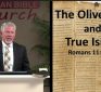 From the Fringe & Outside the Birdcage:  The Olive Tree & True Israel (Romans 11:16-18)