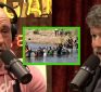 Rogan: Why Bret Weinstein is Concerned About the Migrant Crisis