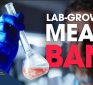 After FDA Approval, States Move to Ban Lab-Grown Meat From Sale | Facts Matter