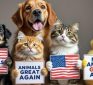 From the Fringe: US Pets and Park Ducks Endorse Trump