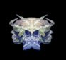 Is NASA Satanic? Why Do Demonic Images Infest the CGI Blue Marble Lie?