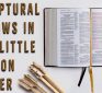 More Scriptural Evidence Of The Little Season