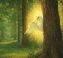 “You’re Not One of Those Christians That Sees The Holy Spirit Behind Every Tree; Are You?”