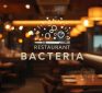 From the Fringe:  Restaurant Table Bacteria
