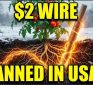 The Amish Have Never Bought Fertilizer — This $2 Wire is Now Illegal