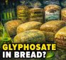 Shocking New Lab Findings on Glyphosate in Grocery Store Bread