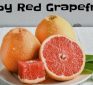 Best Grapefruit and Who Consistently Sells The Best Grapefruit