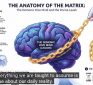 Demonic Hive Mind & the Divine Leash ~ Elite Visual Codes & The L-EGI-ON Protocol Exposed | Jim Wize